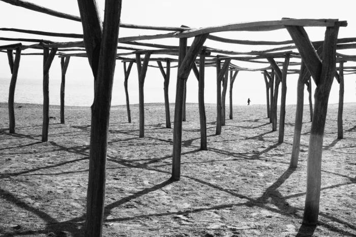 Cinteza, Marius: Constanta, March 2024