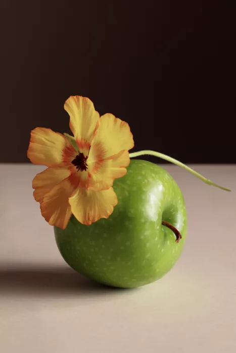 Ramiro, Julia: Apfel und Blume