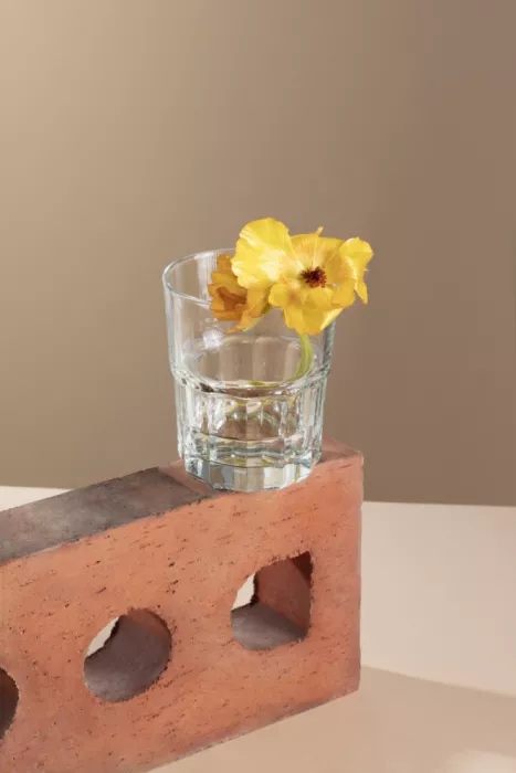 Ramiro, Julia: Vase de fleurs industriel