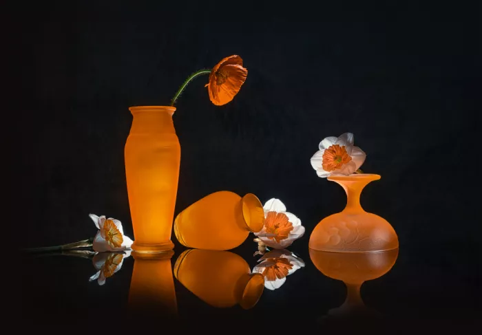 Jacobs, Lydia: Narciso arancione e papavero