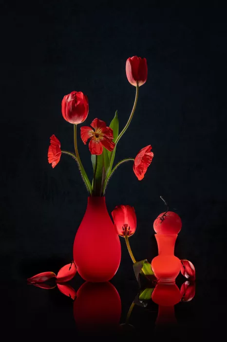 Jacobs, Lydia: Tulipano rosso, papavero e pomodoro