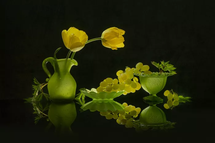 Jacobs, Lydia: Žluté tulipány a hrozny