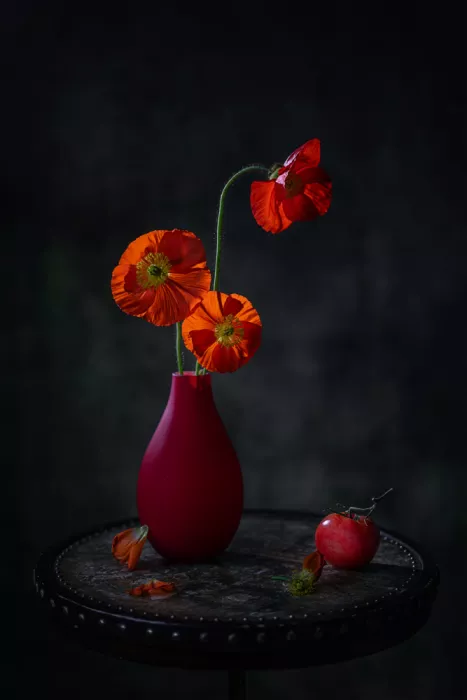 Jacobs, Lydia: Red Poppy Flowers