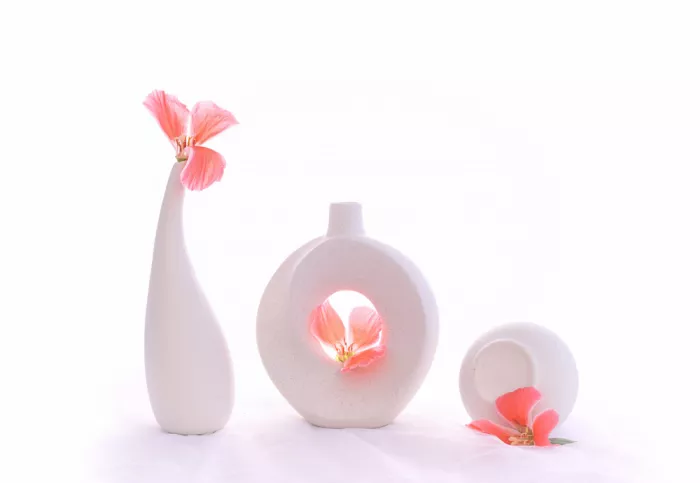 Sheng, Alice: still life 116