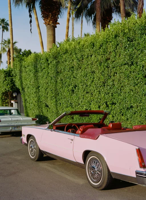 Young, Bethany: Růžový Cadillac IV