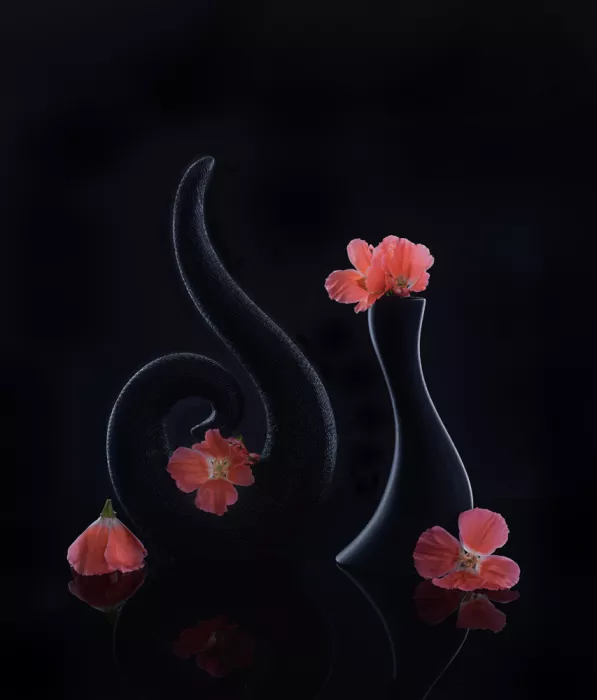 Sheng, Alice: still life 117