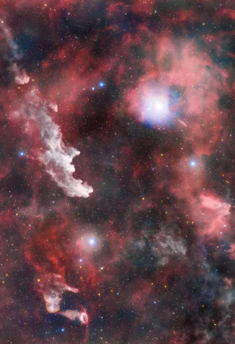 Rodríguez, María Rosa: Witch Head Nebula