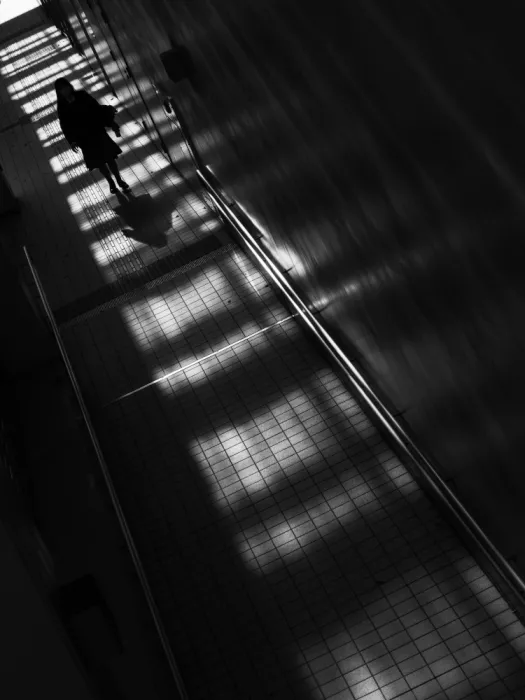 Komai, Kazuhiro: Luce e ombre