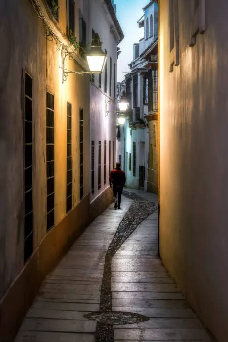 Seco, Luis Juan: Promenades avec enchantement...