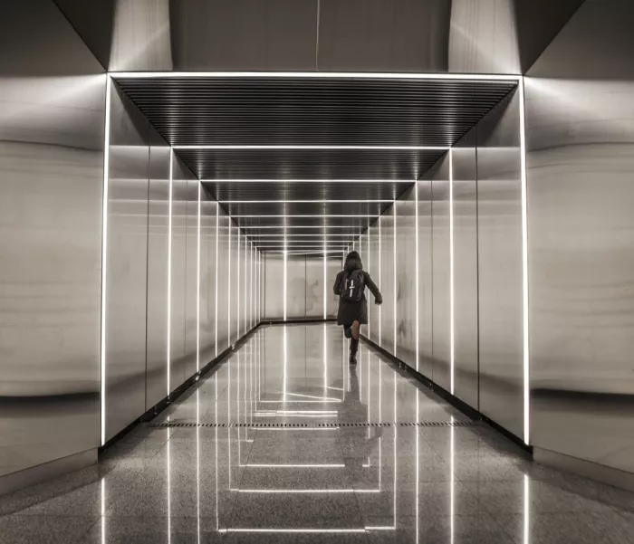 Cherkasov, Viktor: Maze Runner