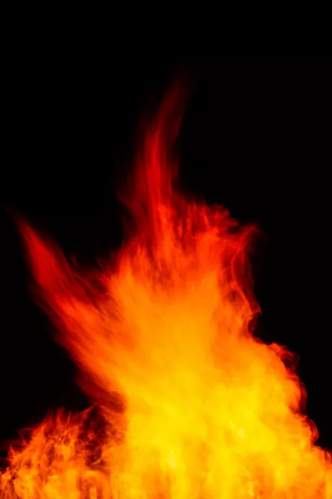 Paz-Fridman, Tal: Lag BaOmer V
