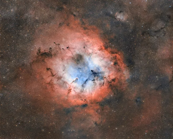Rodríguez, María Rosa: IC 1396,  Elephant Trunk Nebula