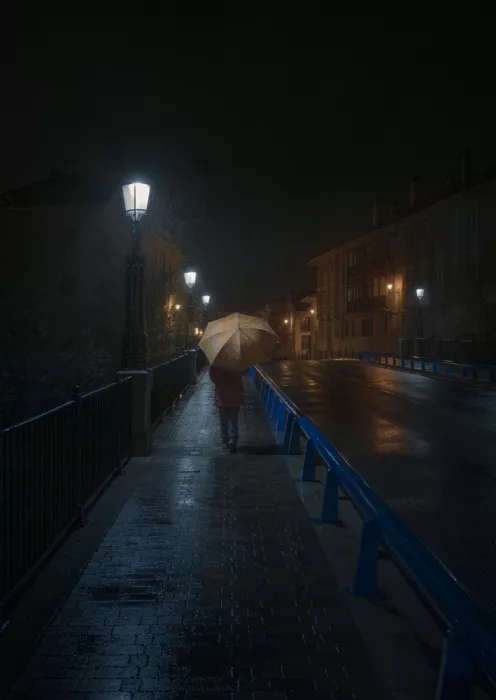 Martinez, Hernandez Carlos: Alone in the rain