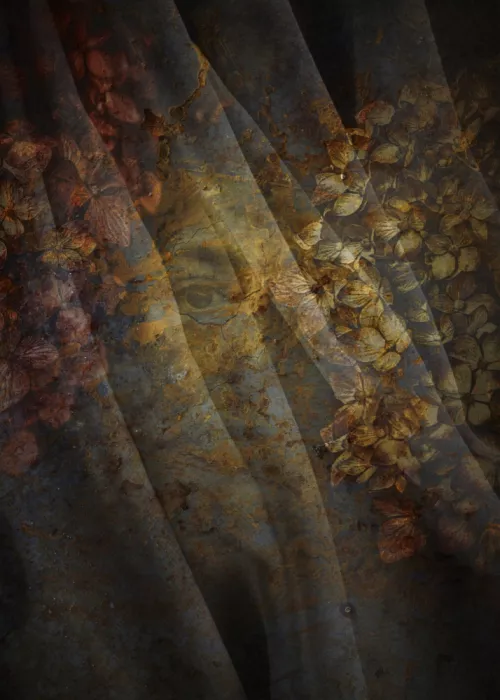 Depaola, Mia: Veiled