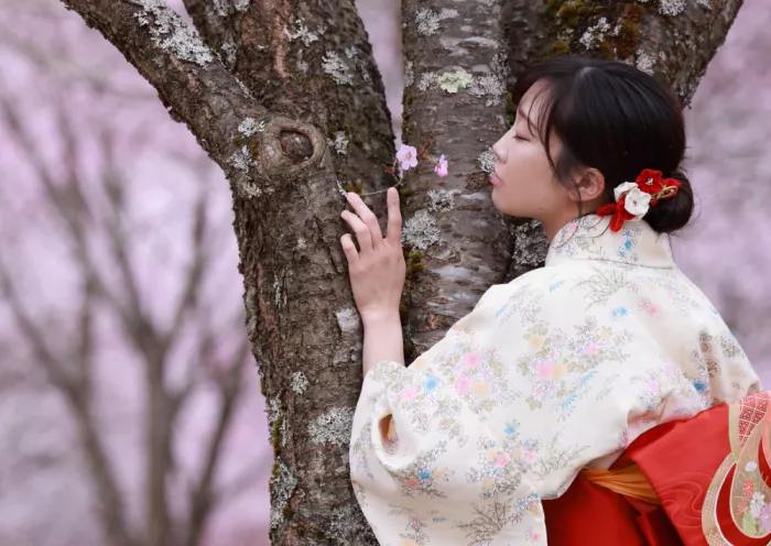 Sakamoto, Tsutomu: Spring has come