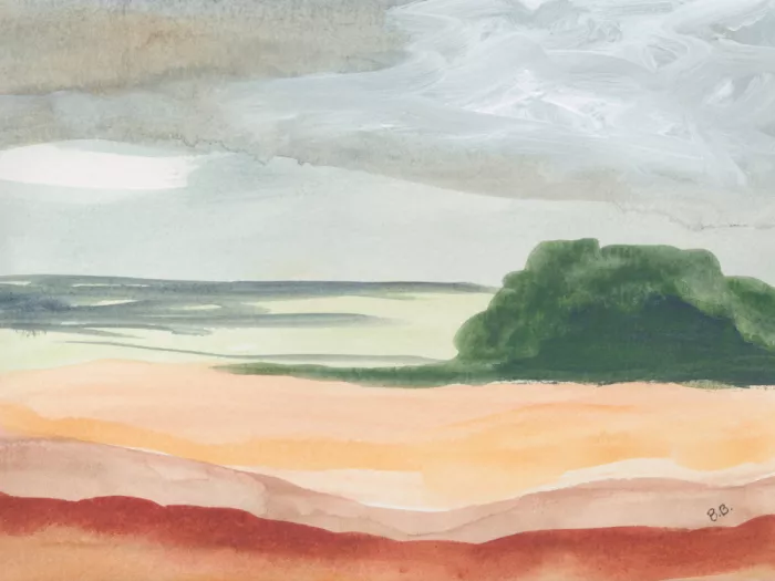 Baker, Bronwyn: Arid Land 2