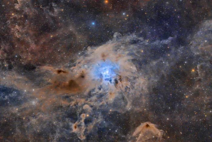 Rodríguez, María Rosa: Iris Nebula