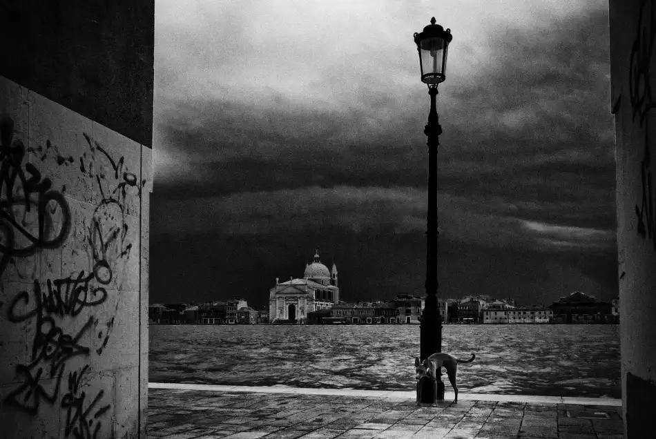 Lupei, Codrin: No name