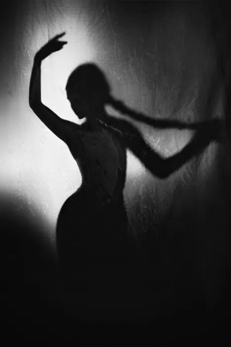Rusu, Lia Adela: silhouette