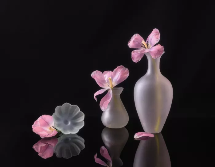 Sheng, Alice: still life 122