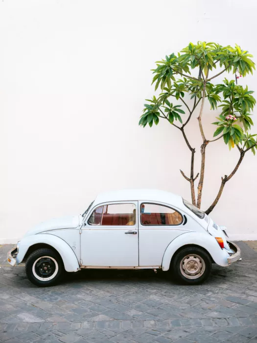 Zwart, Raisa: Volkswagen Beetle pastello nelle strade di Oaxaca, Messico