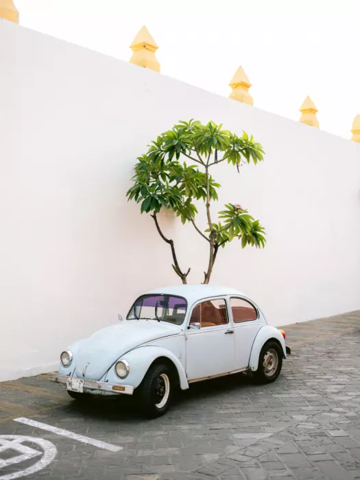 Zwart, Raisa: Maggiolino Volkswagen pastello nelle strade di Oaxaca, Messico