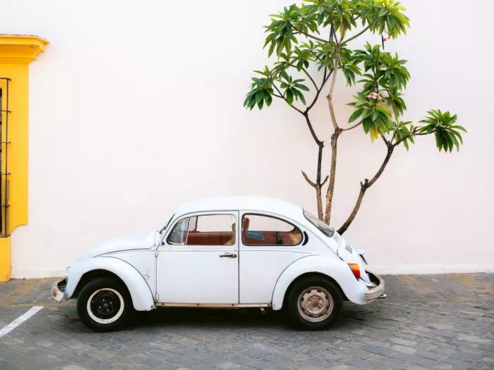 Zwart, Raisa: Maggiolino Volkswagen pastello nelle strade di Oaxaca, Messico