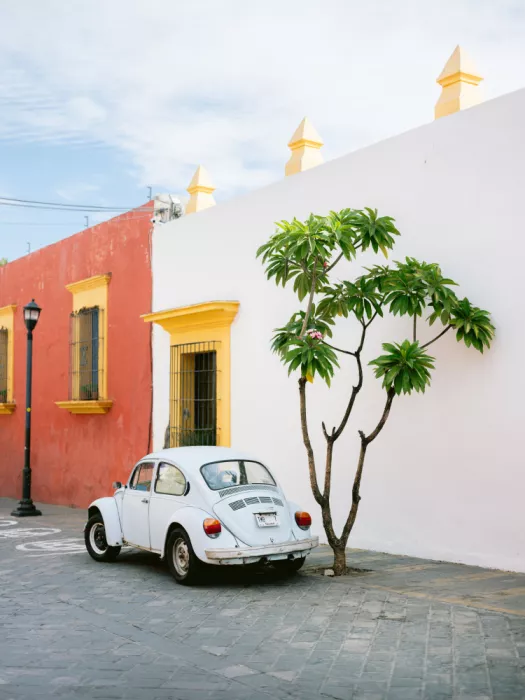Zwart, Raisa: Pastelový Volkswagen Beetle na ulicích Oaxacy, Mexiko