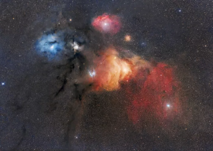 Rodríguez, María Rosa: Rho Ophiuichi Cloud Complex