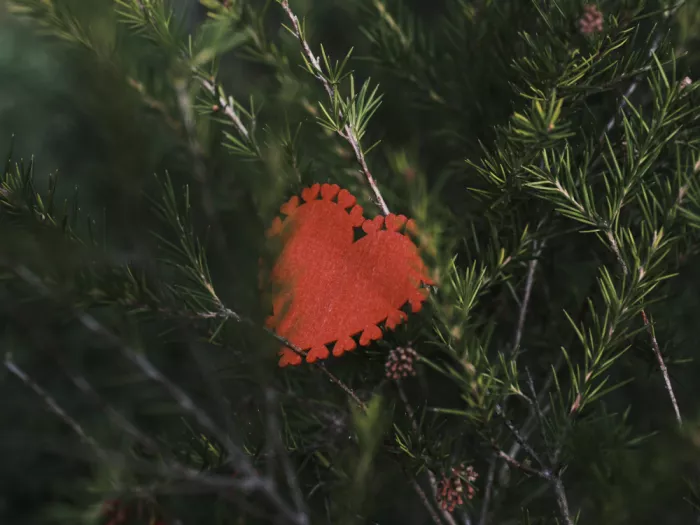akyurt, engin: Amore