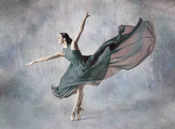 Derwood: En Pointe in Woodlands