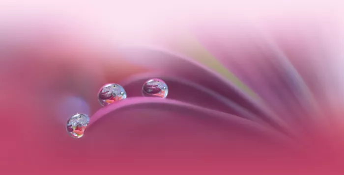 Nan, Juliana: Infinite Forms of Love...III