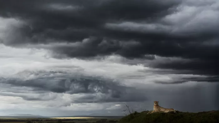 Marchegiani, Roberto: Waiting for the storm