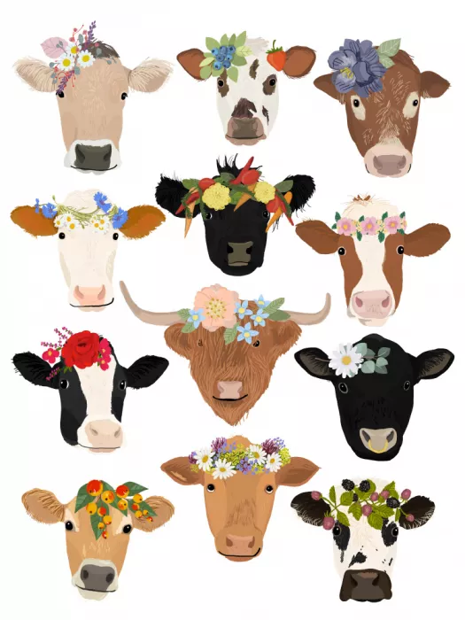 Melin, Hanna: P Cows Hr