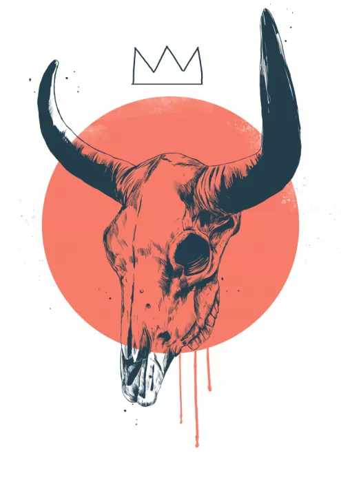 Solti, Balazs: Bull Skull II