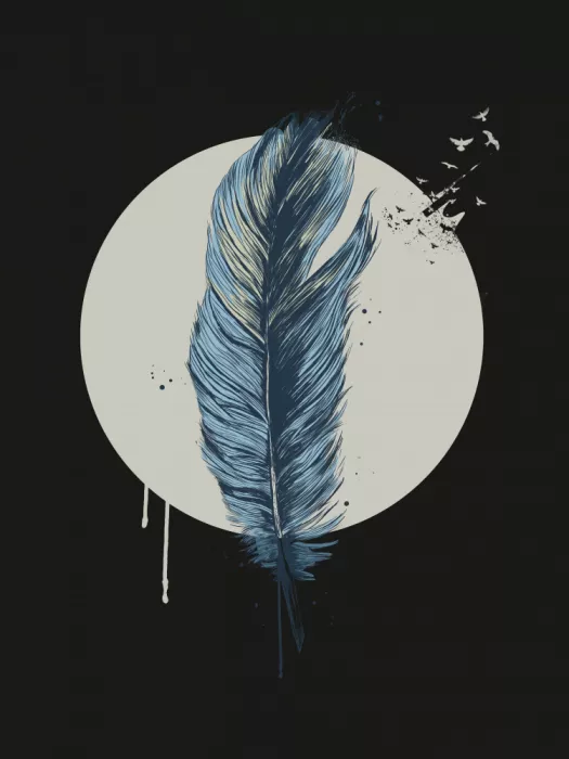 Solti, Balazs: Feather In A Circle (Dark)