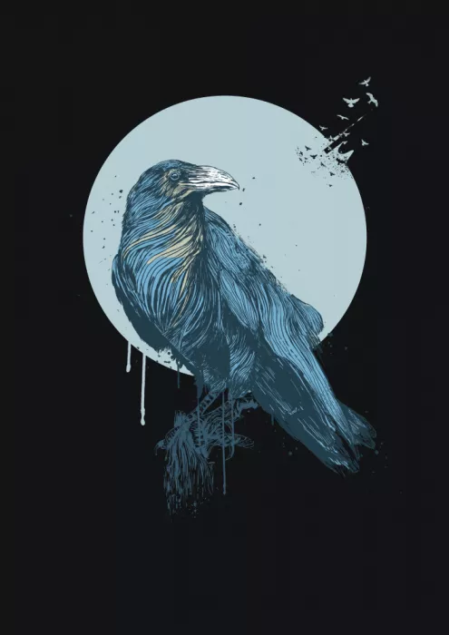 Solti, Balazs: Blue Crow (Dark)