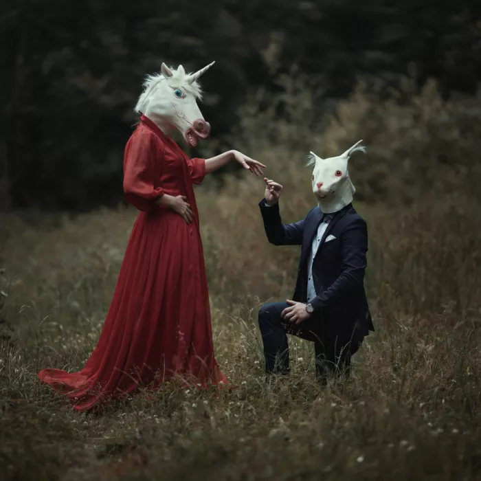 Arhire, Raluca: The Proposal
