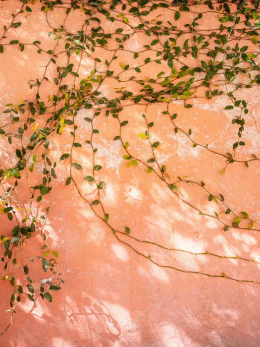 Zwart, Raisa: Botanico San Miguel de Allende | Fotografia di viaggio in Messico