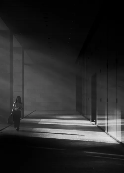 ISHIKAWA, HISASHI: Where light meets shadow