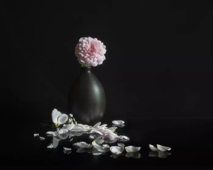 Lu, Linda: Roses