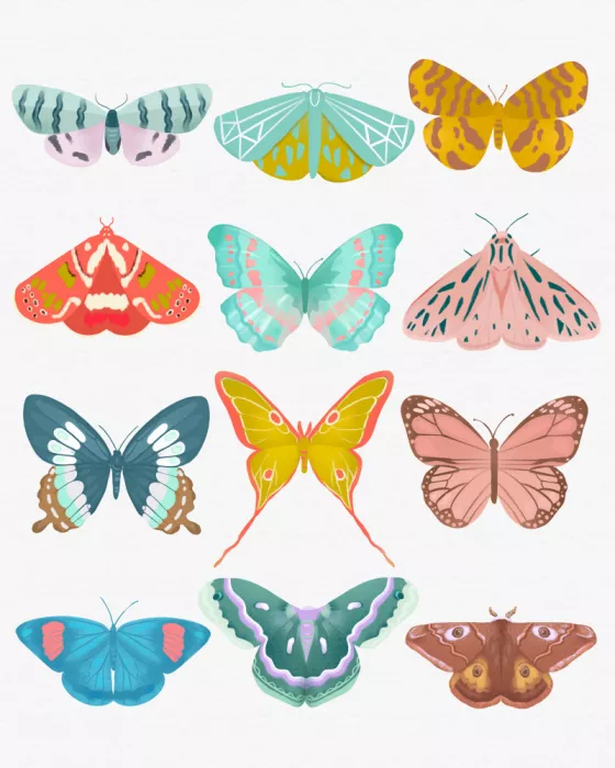 Lizde, Petra: Butterfly