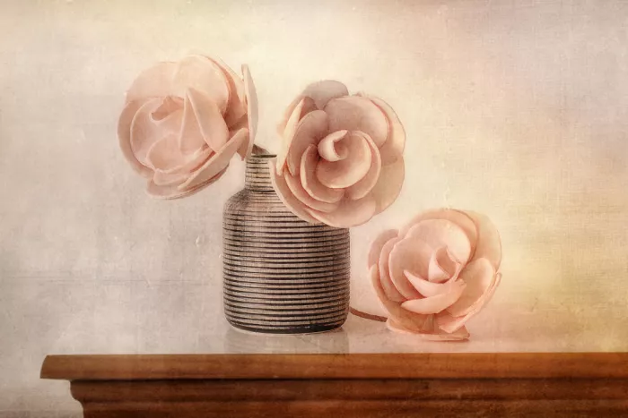 Arjona, Elena: Paper nature