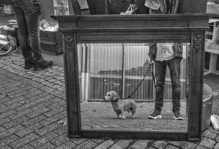 Dongen, Van Hans: Selfie