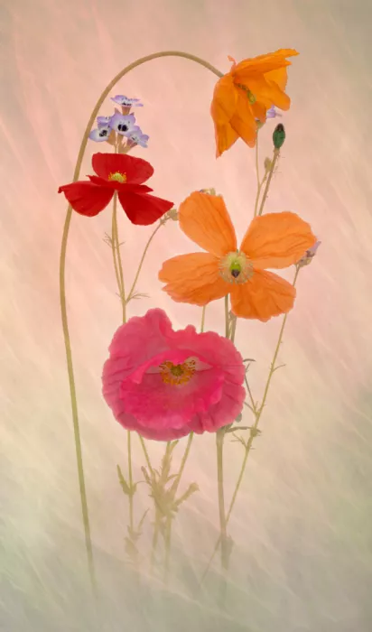 Urbanski, Richard: Summer