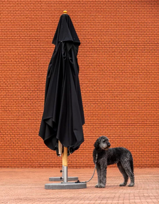 Günther, Hans: Waiting