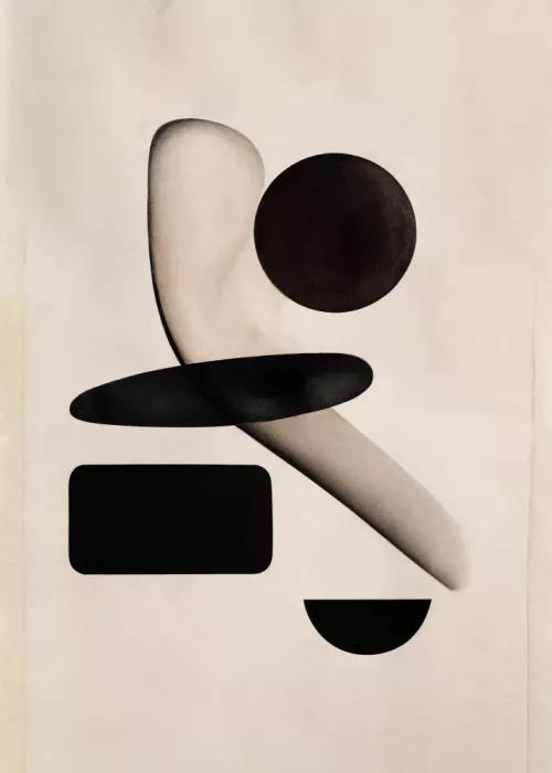 Studio, Miuus The: Shapeshift Harmony
