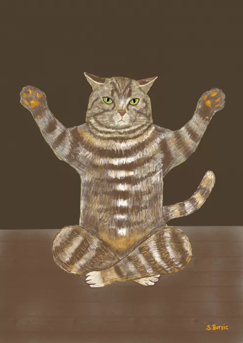 Bursic, Sharyn: Yoga-Katze