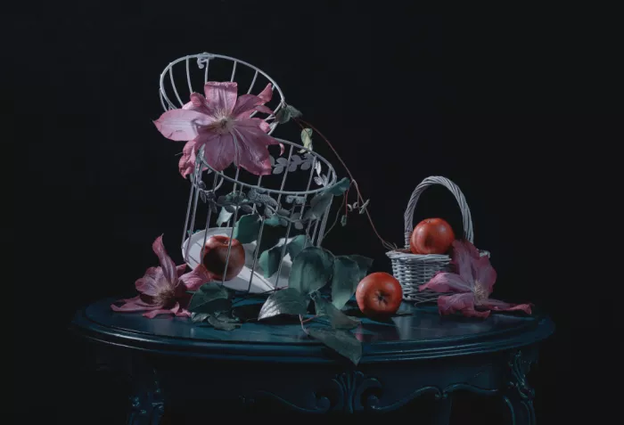 Jacobs, Lydia: Pink Clematis and Apples