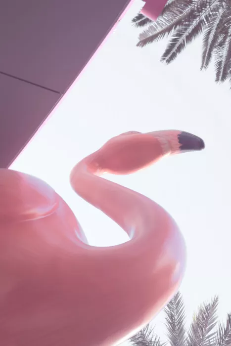 Studio, Pictufy: Las Vegas Flamingo
